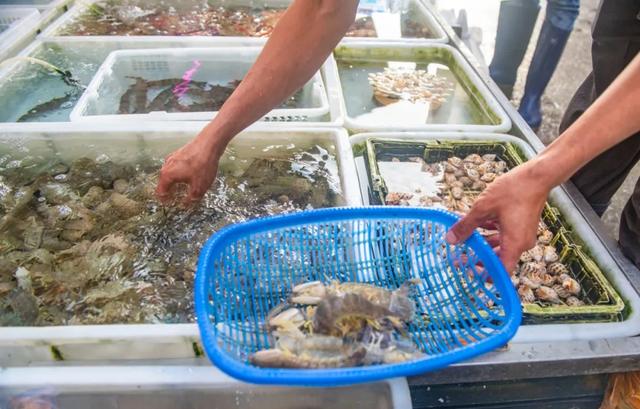 广州花胶批发市场在哪里 2026年广州最大的花胶批发市场