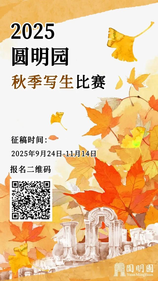 秋景“天花板”！北京这些银杏大道即将迎来最佳观赏期！