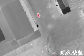 无人机红外热成像镜头锁定目标，疯牛被击毙图片