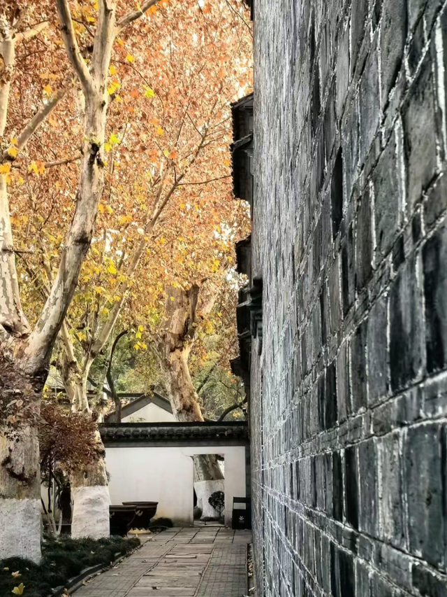 这个元旦假期，把时光“浪费”在秦淮最美的园子里~