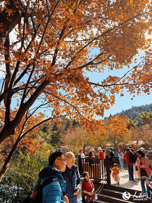 初冬庐山醉游人