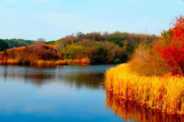 醉美坊子｜秋染小城，被时光温柔以待