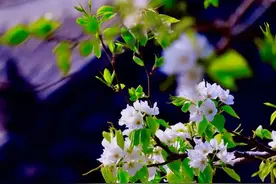 紧急提醒！沈阳将迎雨雪、大风、降温！国内一地：师生周末非必要不外出！图片