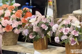 一线探访丨花型漂亮、价格便宜，芍药成母亲节新宠！康乃馨今年售价上涨五成图片