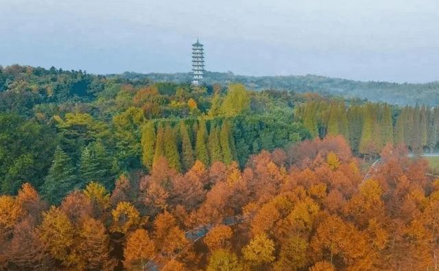 现在的宜兴，已经美成这样了……