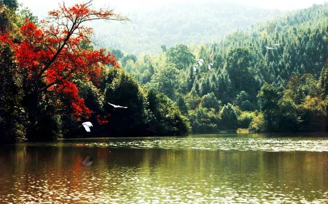 江右名镇名村行 | 吉安市安福县羊狮慕镇：自然奇观 羊狮追逐