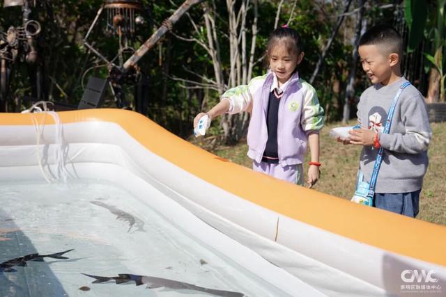 崇明这场美食文化节，解锁周末正确打开方式