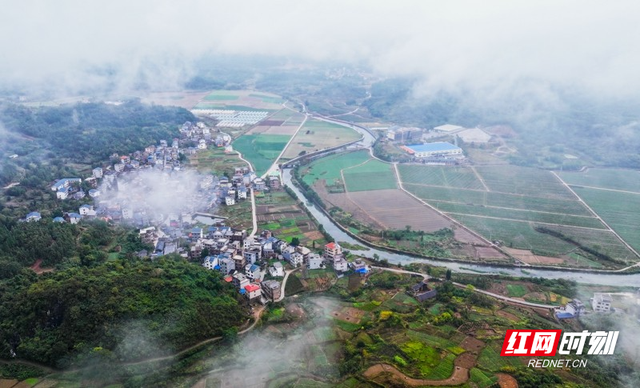 湖南新田：云雾缭绕乡村美如仙境（组图）