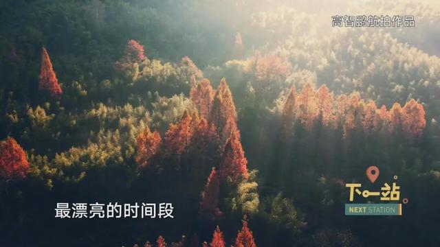 包邮区小城火遍全网！上海人爱去打卡这里的“三件套”