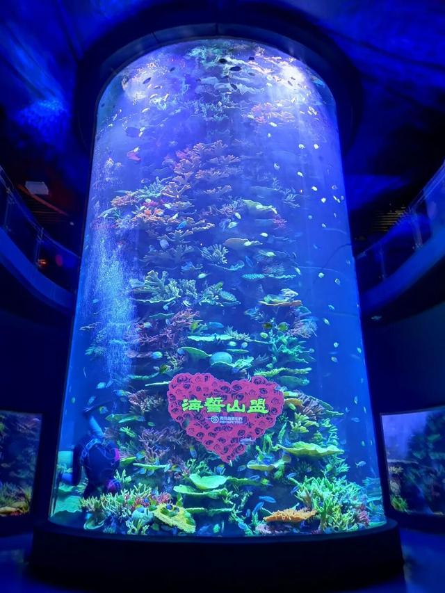 一张门票一日游，打包青岛冬日海底+海上精华的路线攻略来啦