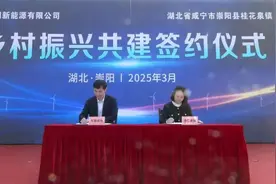 总投资1.02亿元！咸宁一风电项目正式开工图片