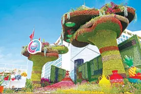 立体花坛、灯光秀……北京街头花团锦簇迎盛会图片