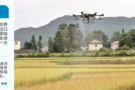 “领飞”低空赛道 中国无人机产业整链崛起图片