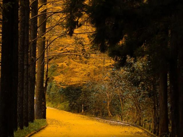 在上饶德兴享受独处的快乐，5个静谧空间超适合i人！