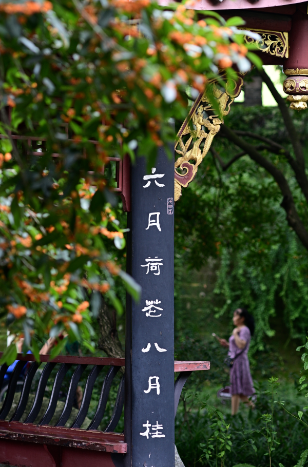 V5！！！新都↔彭州，切换就是这么丝滑~