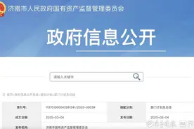 年度投资目标超900亿元！济南市国资委发布2025年工作要点图片