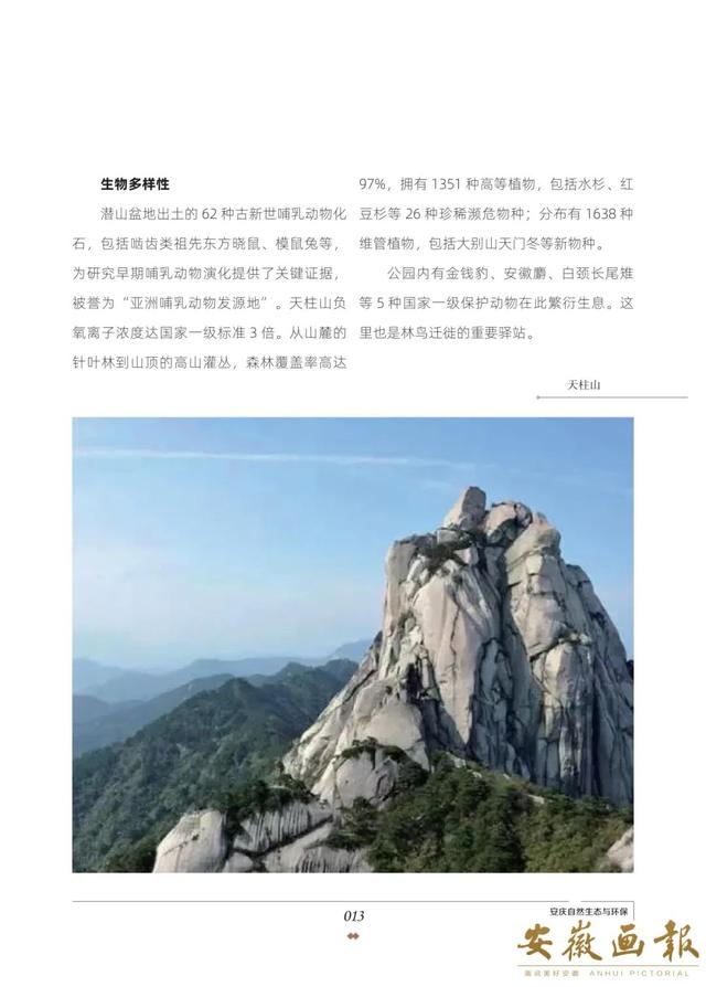 一市一品 皖美研学 | 有戏宜城 研学安庆
