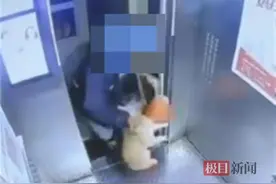 外卖员将猫从高楼扔下摔死，对流浪猫的治理也不能忽视图片