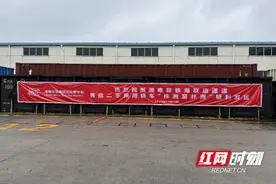 首批二手乘用轿车“株洲至非洲”顺利发运图片