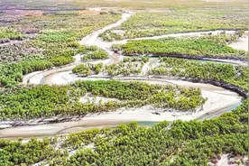 辨词：是“羌”不是“姜” 叶尔羌河湿地风景美图片