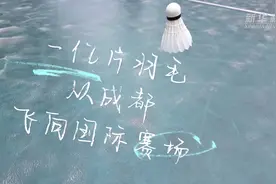 一亿片羽毛从成都飞向国际赛场图片
