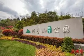 获评长沙市最美公园，狮子山公园凭什么？图片