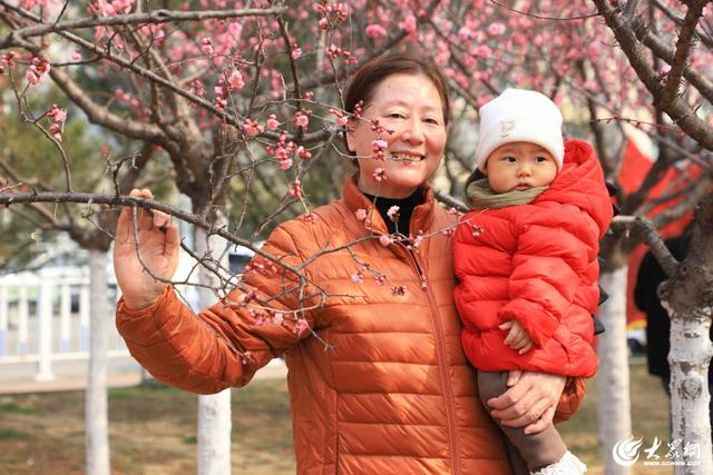 梅花绽放春意浓 游人如织景怡人 泰安高新区凤凰河公园成为春日休闲好去处