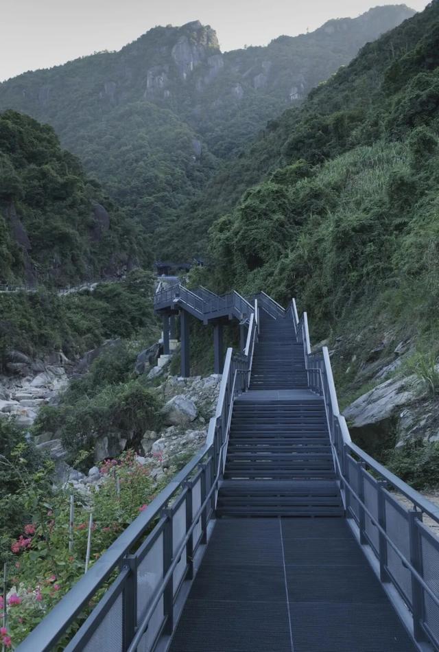 宁德新晋网红步道！把峡谷野趣、悬空观景与百年人文打包，随手拍都是景！