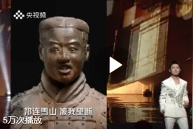 AI兵马俑与宝石老舅同台rap图片
