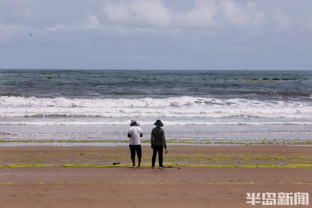 “竹节草”来安全为重！游客海滨护栏外有序观浪休闲