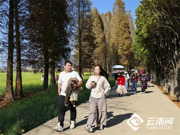 昆明“日落山海农场”成春节打卡新地标