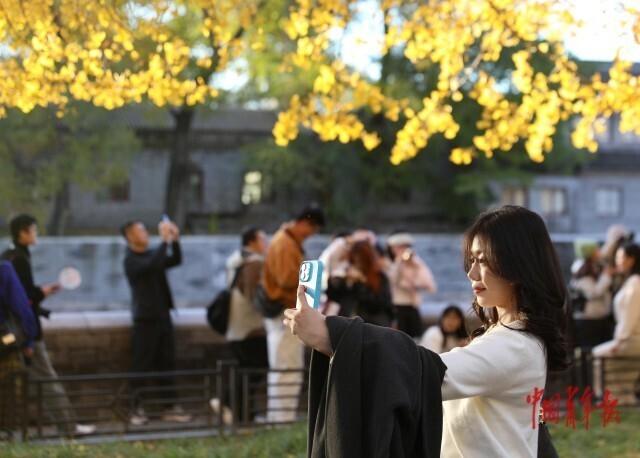 故宫角楼银杏黄