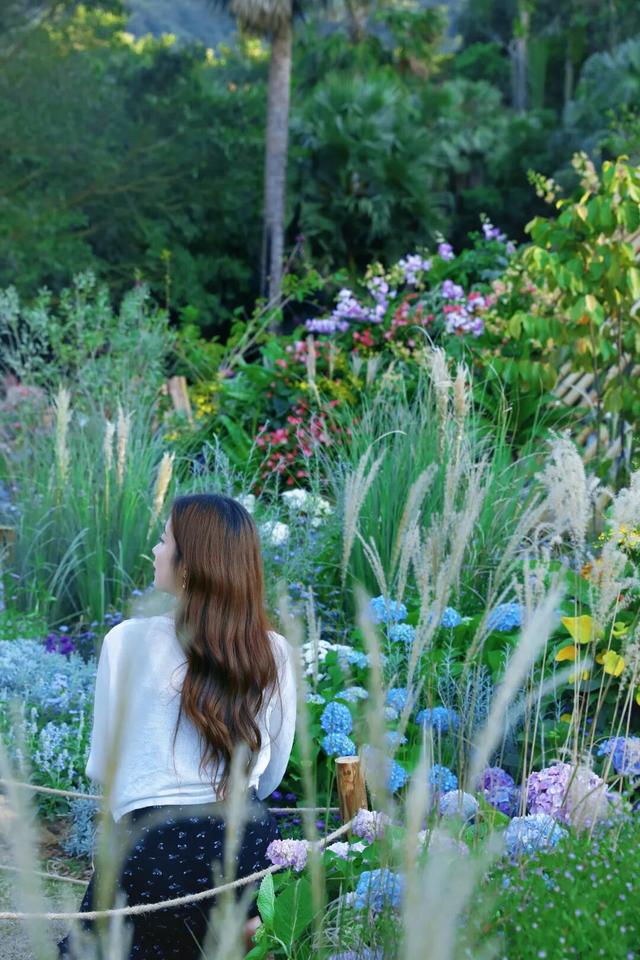 行摄 | 美爆了！秋日花海，限时上映