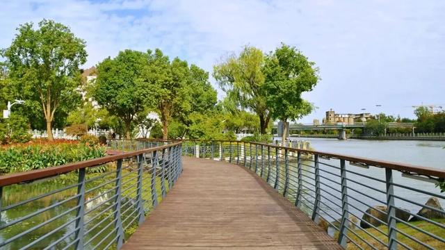 四季流转，青浦这座公园的颜值从来不掉线！