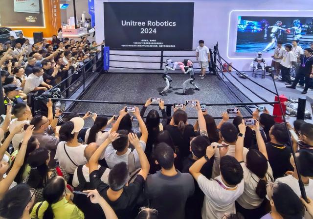 图片新闻｜2025智博会：机器人格斗赛 招式有模有样