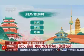 数据看出游 | 透过数据看“五一”假期文旅市场热力十足图片