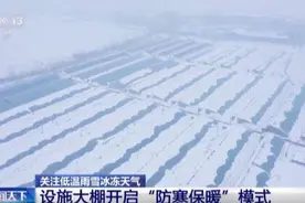 麦苗盖上了“雪花被” 小麦过冬开启“防寒保暖”模式图片