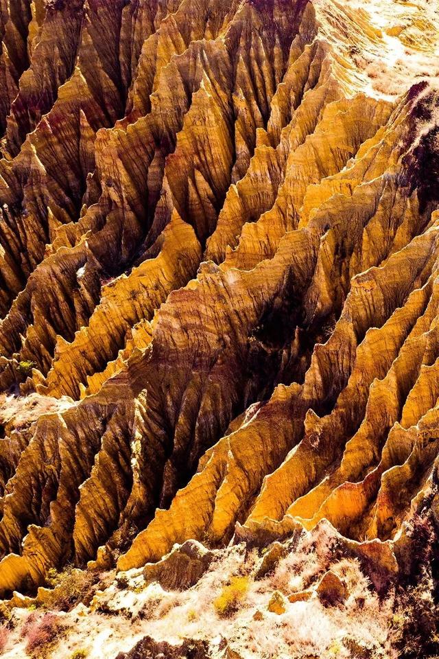 今天，楚雄要给你点颜色看看