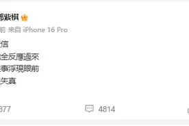 “好多往事浮现在眼前”，邓紫棋悼念方大同，两人曾在《我是歌手2》总决赛上合作图片