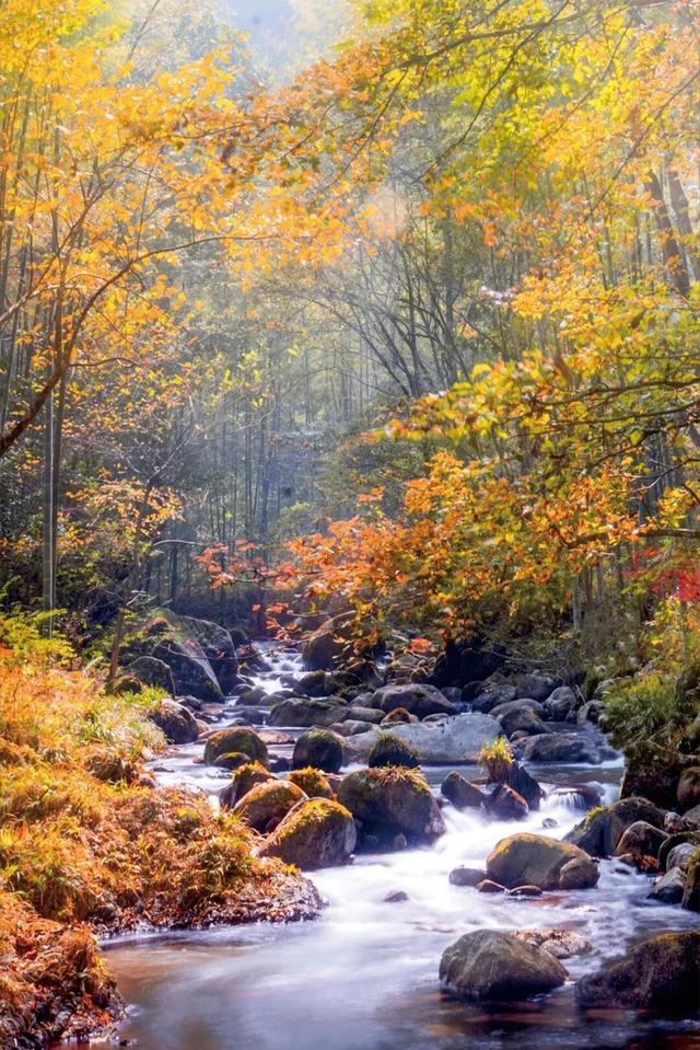 今日立冬！接下来~你就能看到这样的井冈山！
