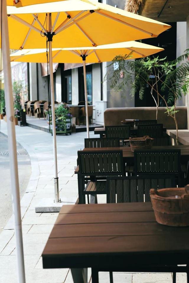 听，呼和浩特的秋天在喊你煮茶喝咖了