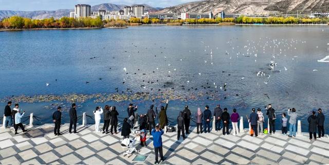图说定西 | 定西湖畔风景如画