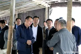 国家林业和草原局来聊调研林长制及林下经济工作情况图片