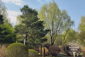 气温即将飙升，长春市最高气温可达23℃图片