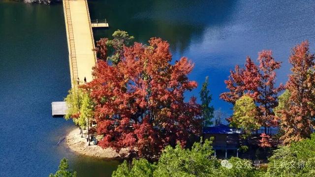 阳明湖最新“枫”情预告