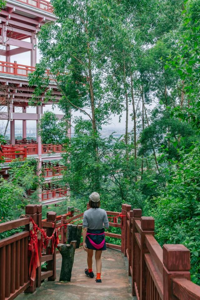 免门票！里水登高首选！3条赏秋路线→