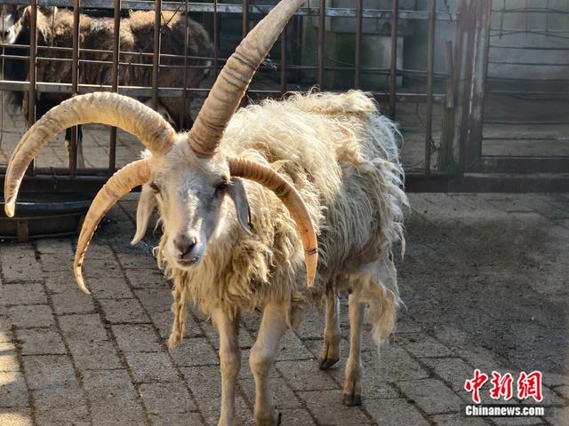 人这一辈子，一定要去一趟凯里！