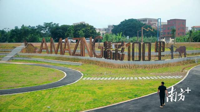 报名！徒步迎省运，茂名12月20日开走