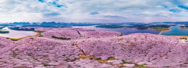 人生旅居处：“爽爽的贵州”