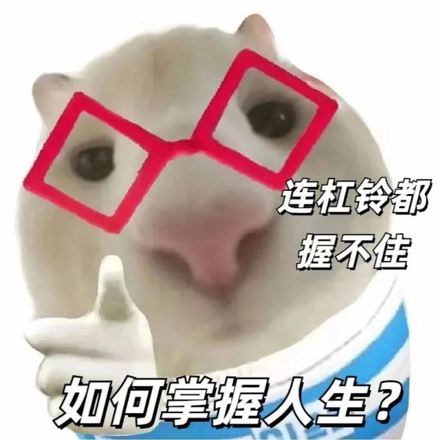 “真的建议不要过临时的生活”上热搜，网友：天啊，这不就是我吗？
